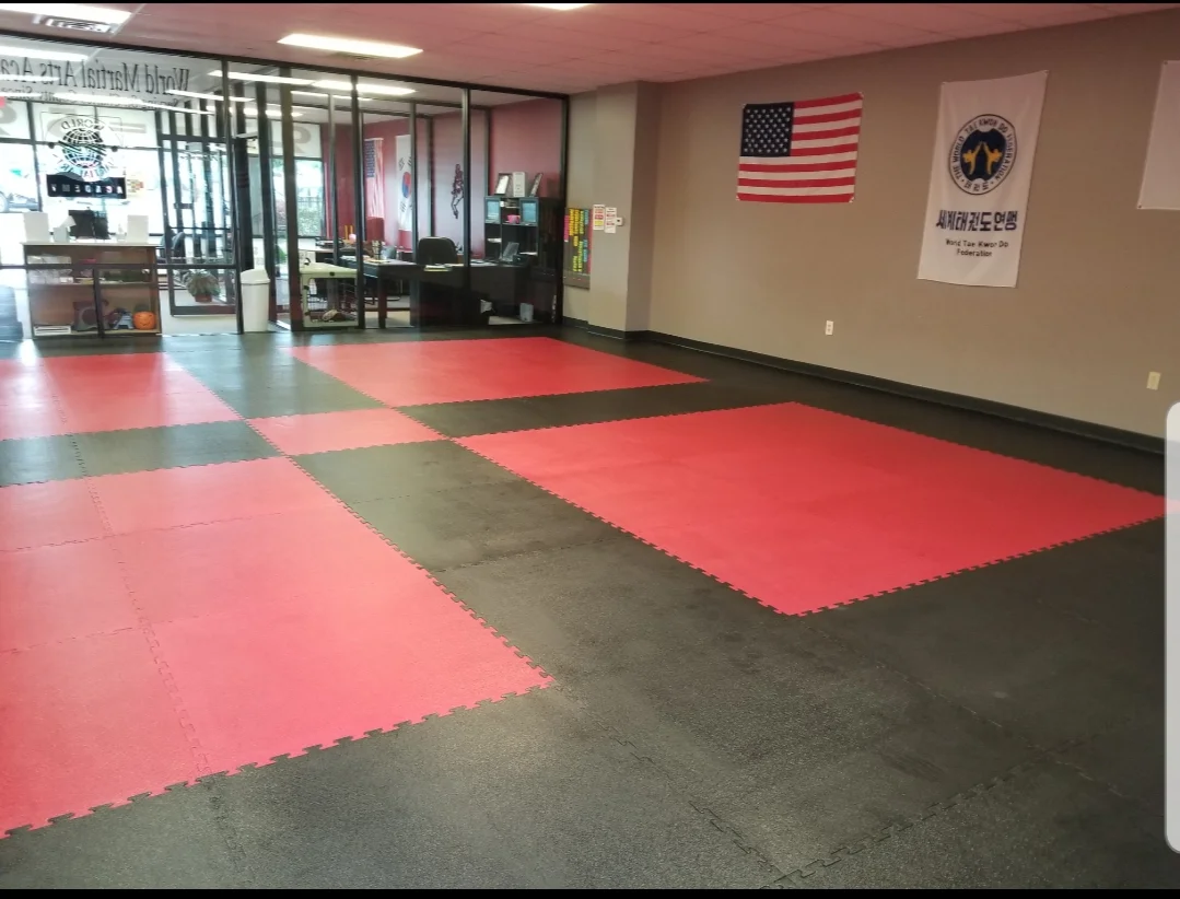 World Martial Arts Academy Ofallon academy photo
