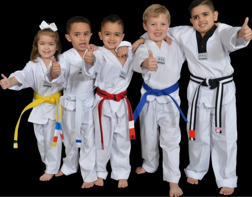 World Martial Arts Academy Ofallon academy photo