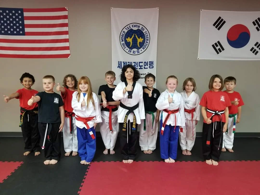 World Martial Arts Academy Ofallon academy photo
