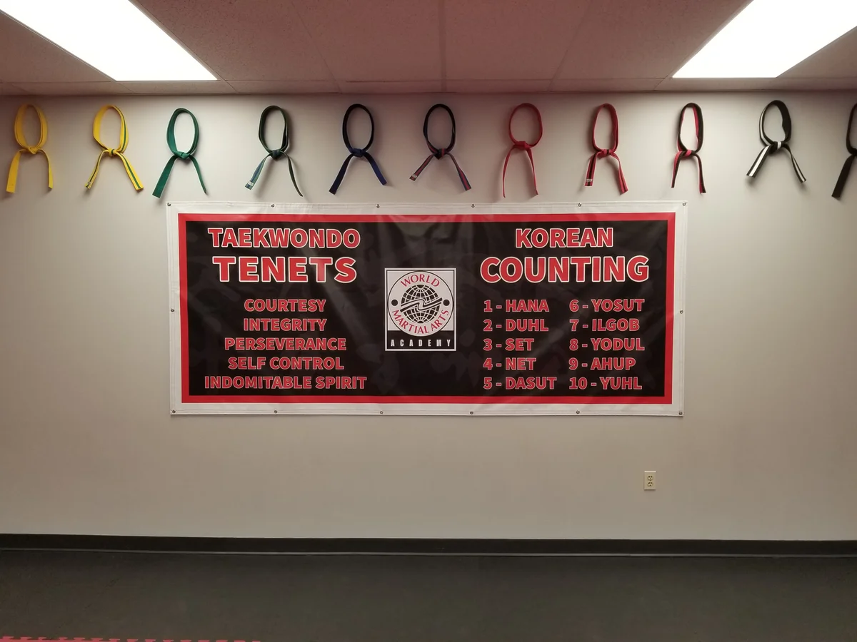World Martial Arts Academy Ofallon academy photo