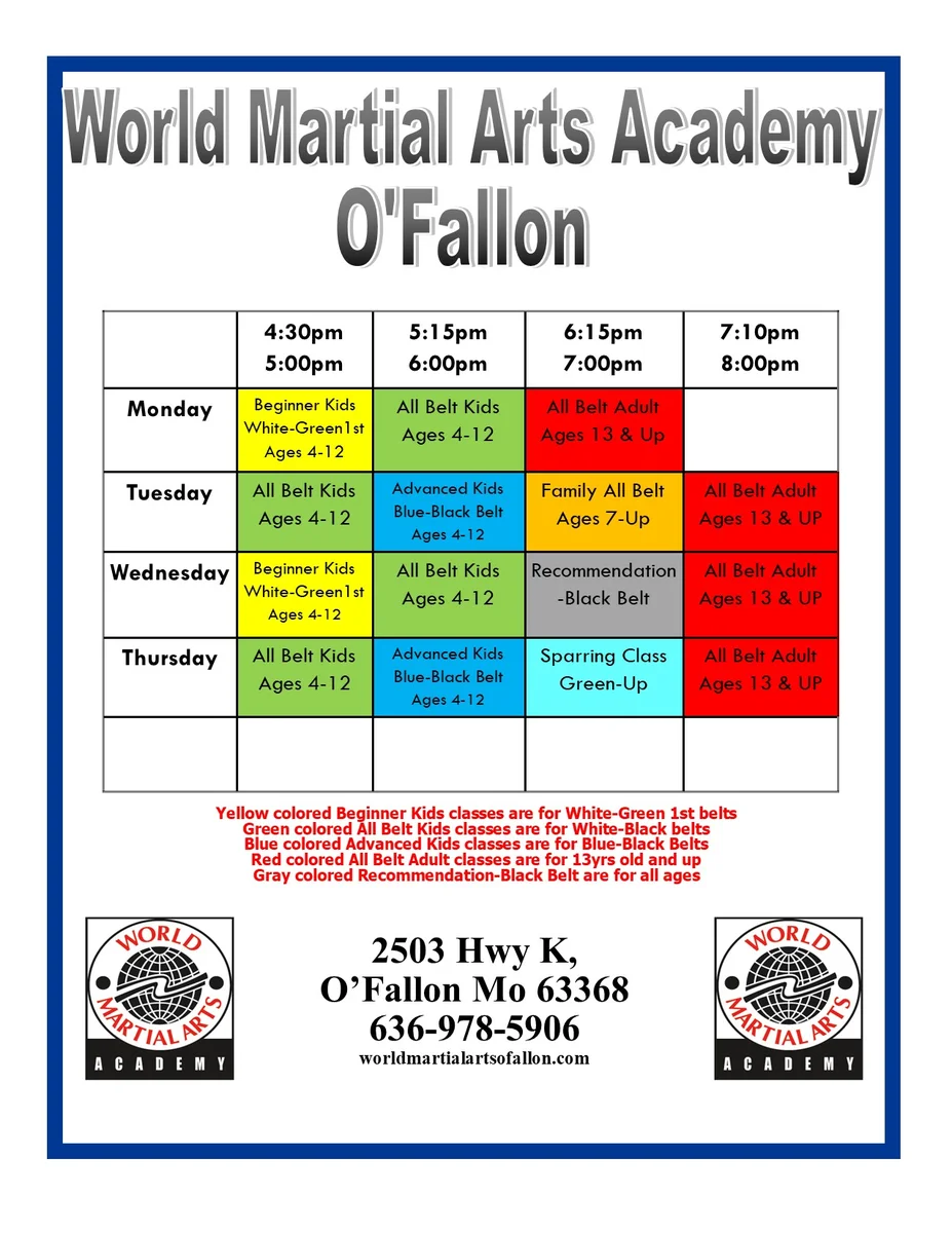 World Martial Arts Academy Ofallon academy photo
