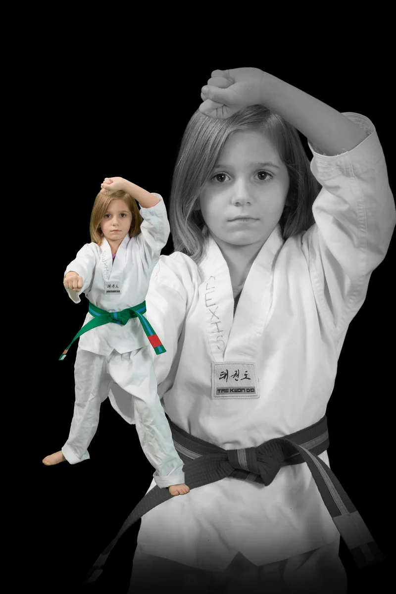 World Martial Arts Academy Ofallon academy photo