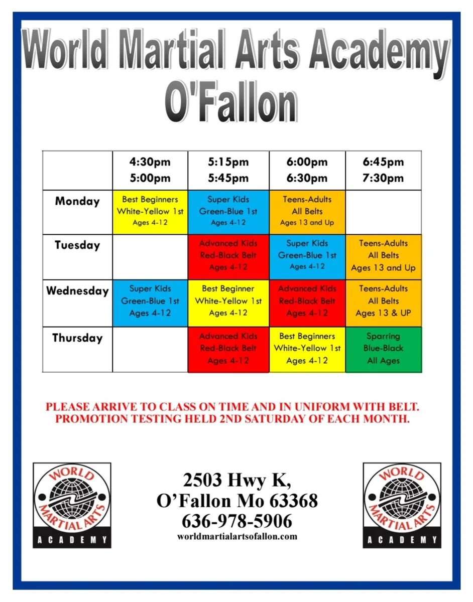 World Martial Arts Academy Ofallon academy photo