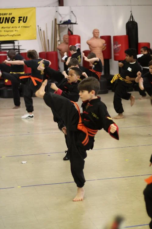 Academy of Kung Fu academy photo