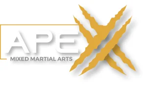 Apex Martial Arts academy photo