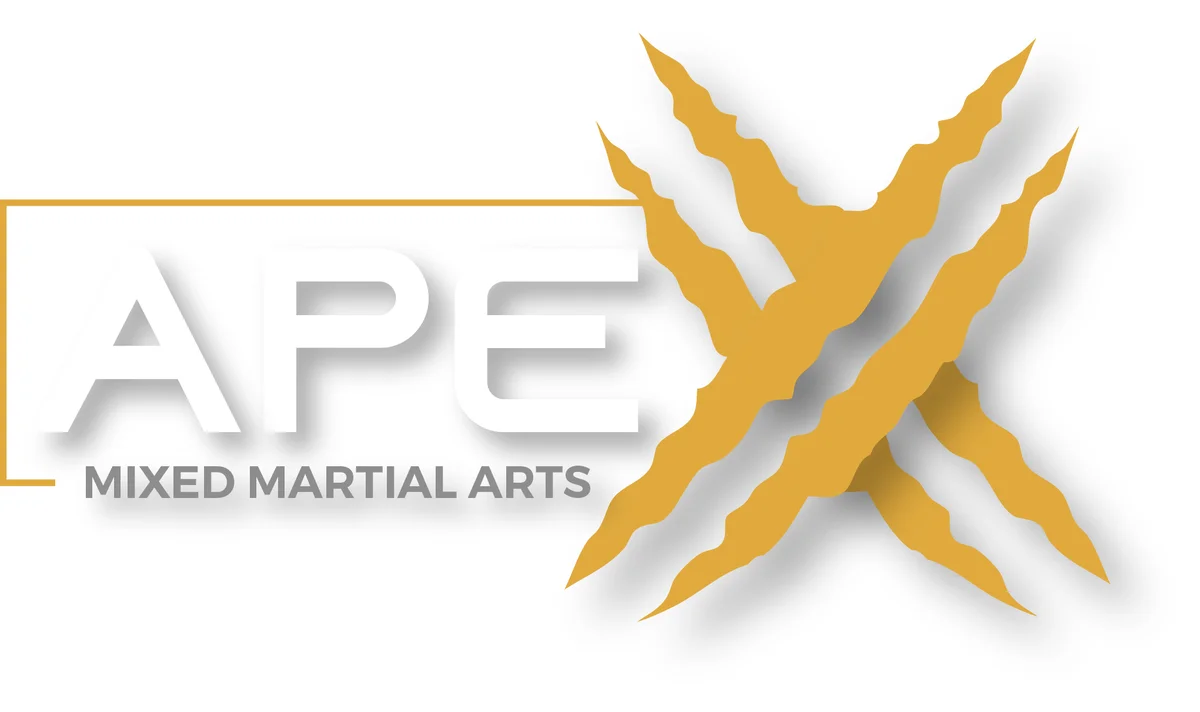 Apex Martial Arts academy photo