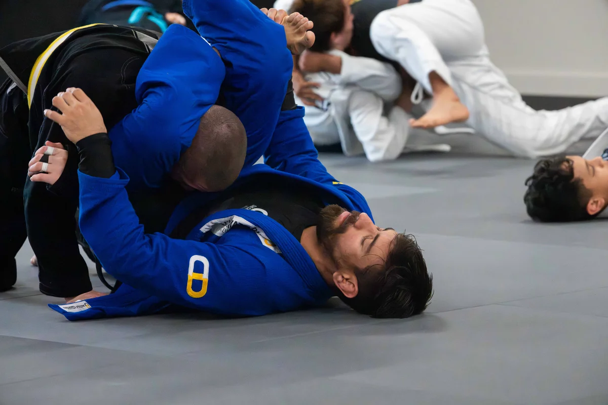 Checkmat Daphne academy photo