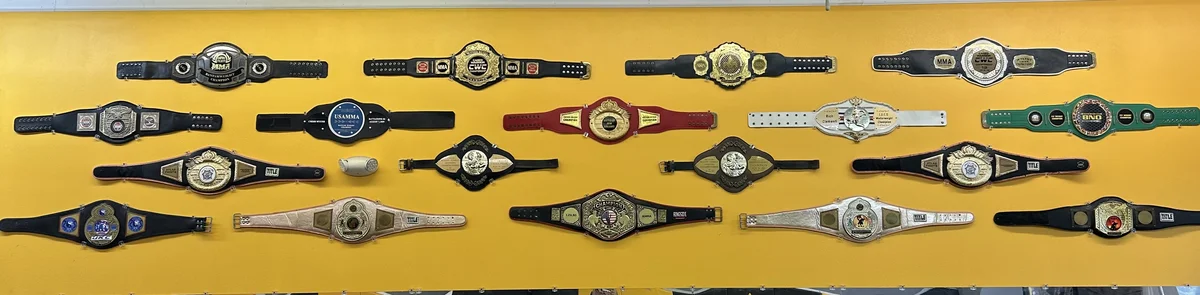 Gold Dragon MMA academy photo