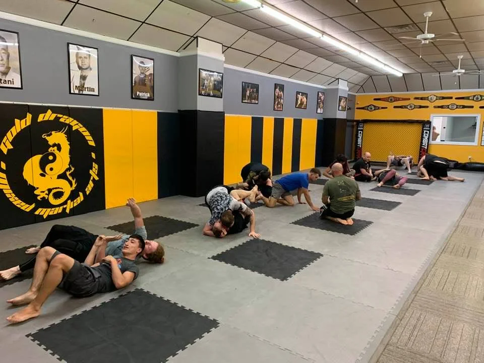 Gold Dragon MMA visual