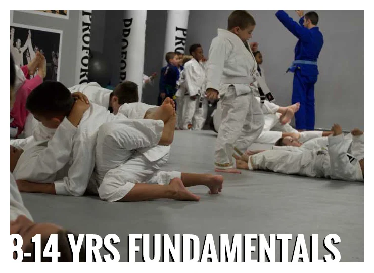 Gracie Gulf Coast Brazilian Jiu Jitsu Academy academy photo