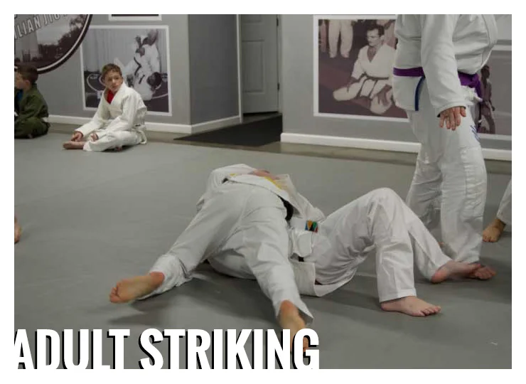Gracie Gulf Coast Brazilian Jiu Jitsu Academy academy photo