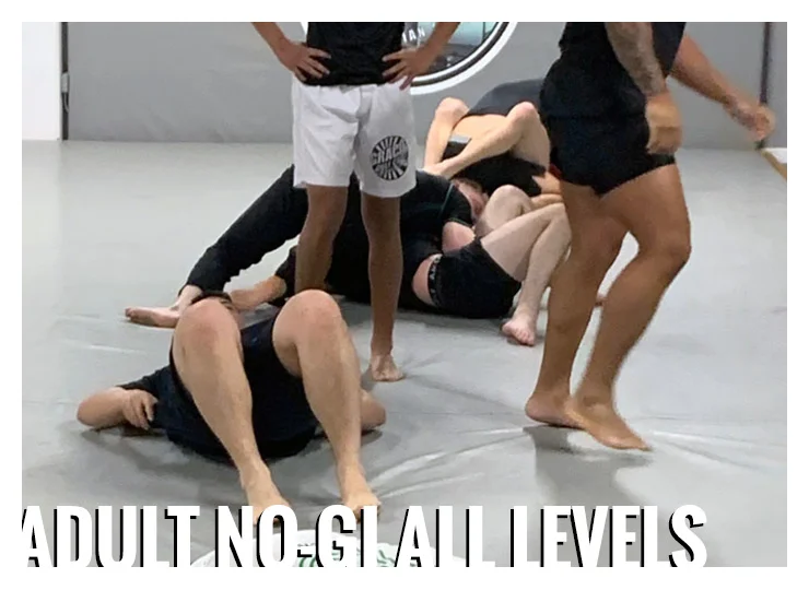 Gracie Gulf Coast Brazilian Jiu Jitsu Academy academy photo