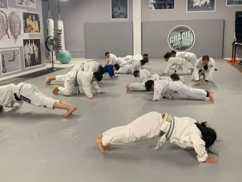 Gracie Gulf Coast Brazilian Jiu Jitsu Academy academy photo