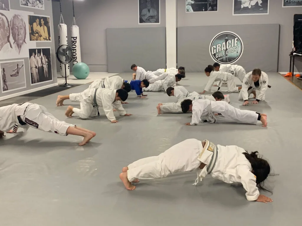 Gracie Gulf Coast Brazilian Jiu Jitsu Academy academy photo