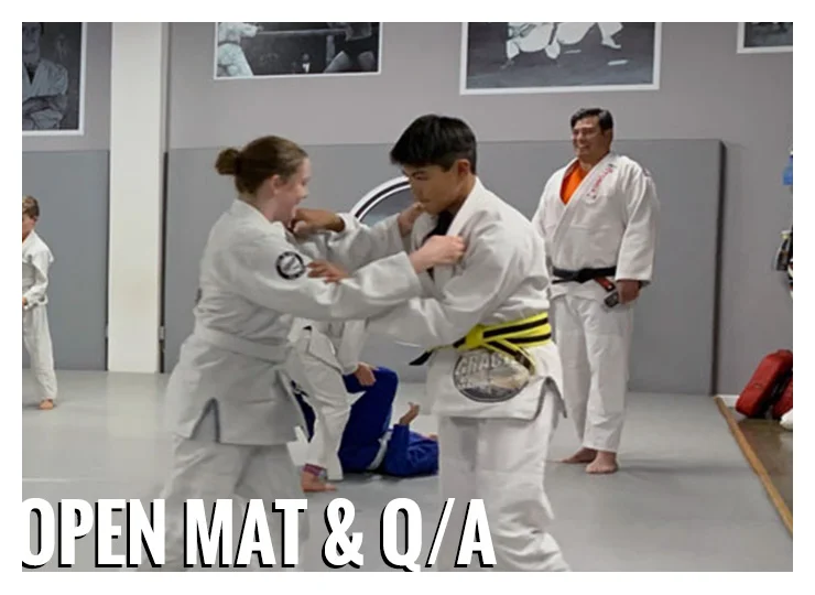Gracie Gulf Coast Brazilian Jiu Jitsu Academy academy photo