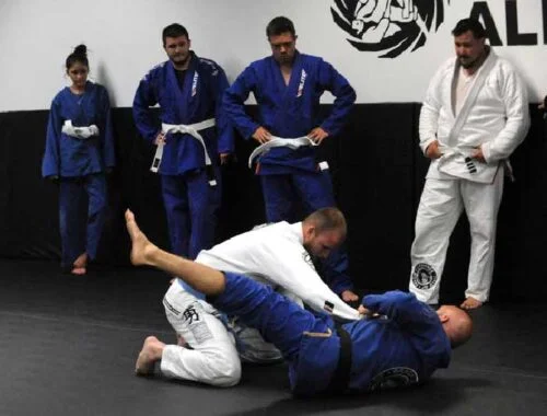 Gracie Gulf Coast Brazilian Jiu Jitsu Academy academy photo