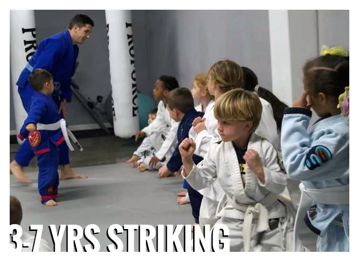 Gracie Gulf Coast Brazilian Jiu Jitsu Academy academy photo