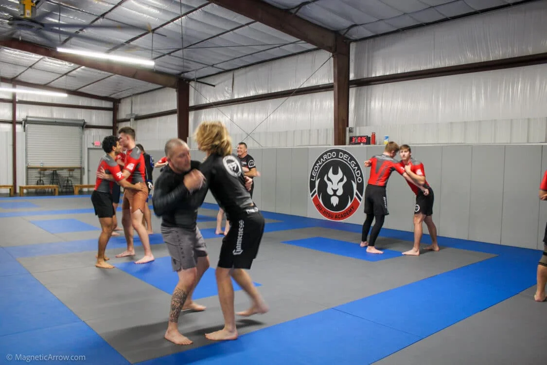 Leonardo Delgado Jiu-Jitsu Academy academy photo