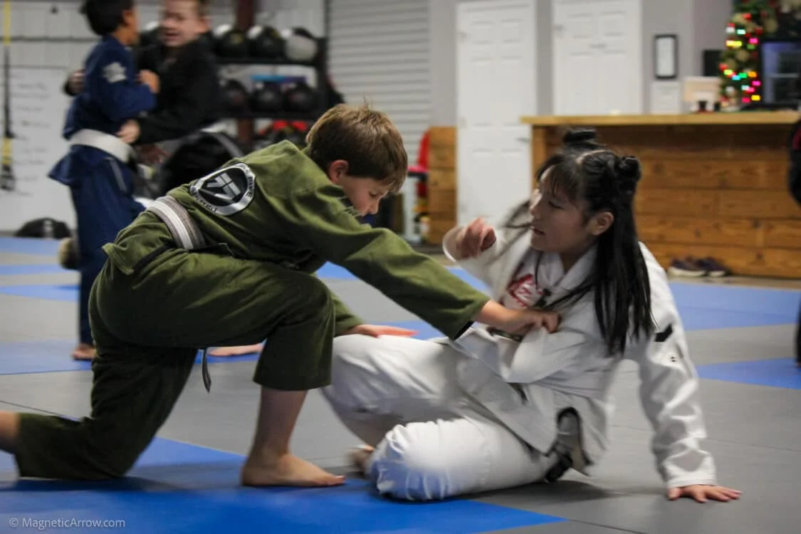 Leonardo Delgado Jiu-Jitsu Academy academy photo