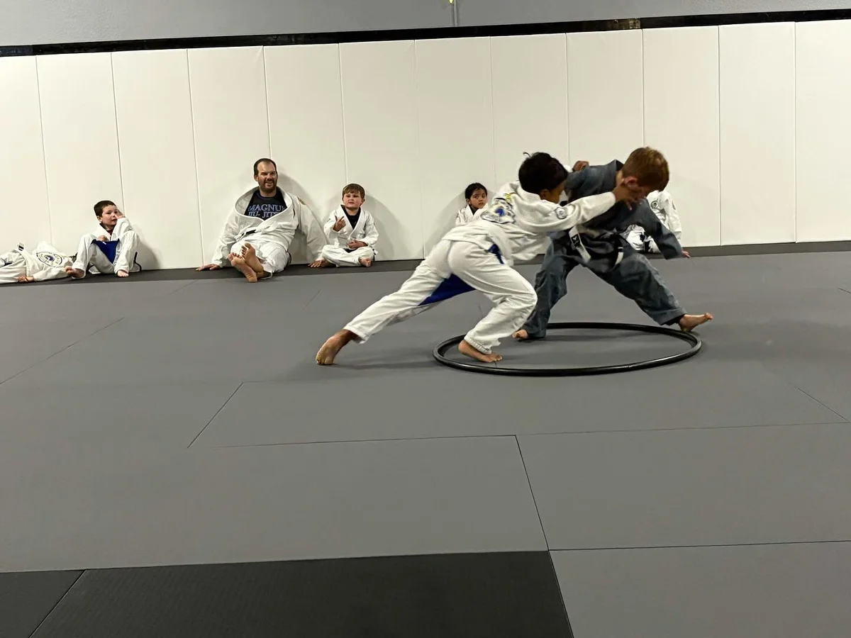 Magnus Training Academy & Brazilian Jiu-Jitsu academy photo