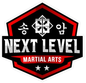 Next Level Martial Arts academy photo