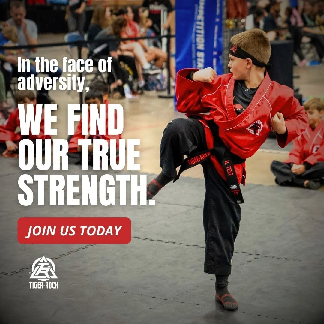Tiger Rock Martial Arts Academy visual