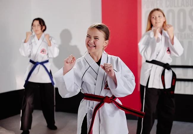 Tiger Rock Martial Arts academy photo