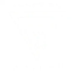 Function Jiu Jitsu academy logo