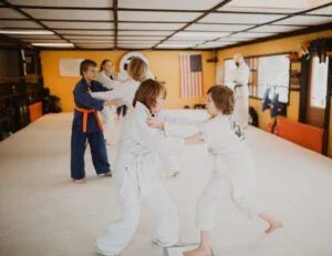 Sakura Warrior Arts facility image