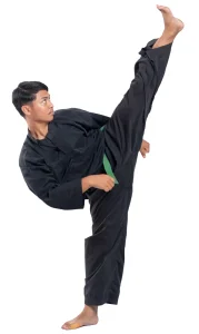 4 Winds Martial Arts academy photo