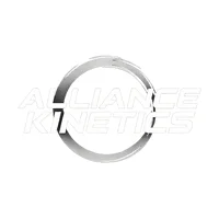 Alliance Kinetics Martial Arts visual