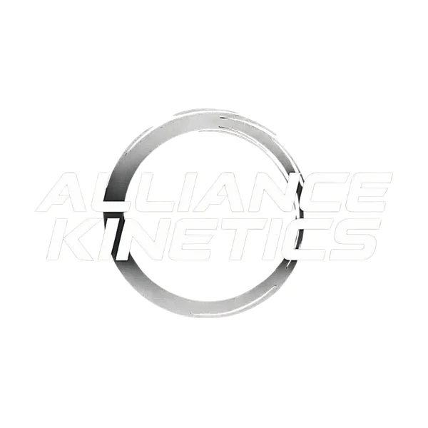Alliance Kinetics Martial Arts academy photo