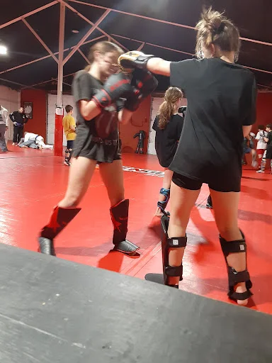 Apex Martial Arts Center academy photo