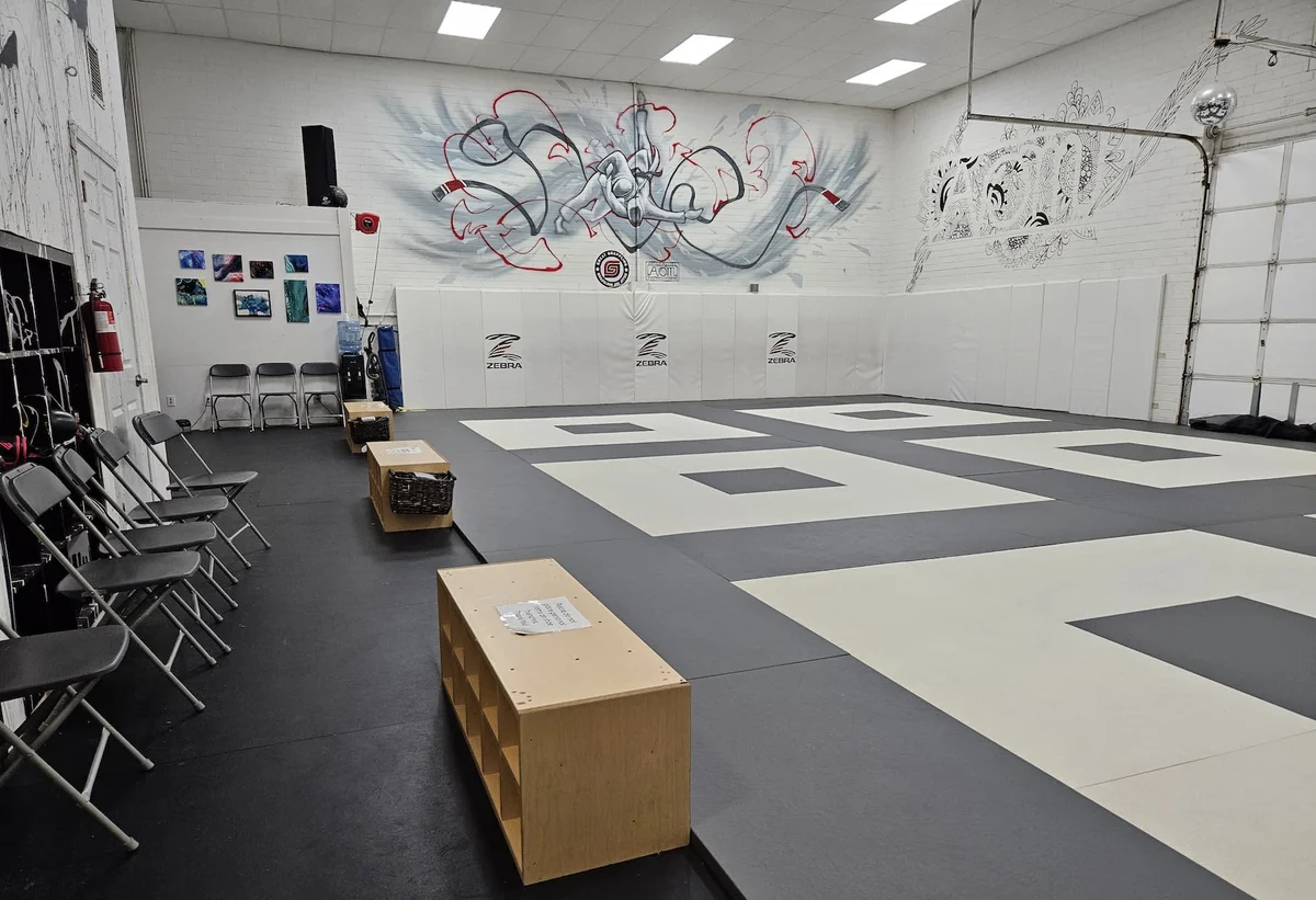 Art Of Motion Jiu Jitsu academy photo