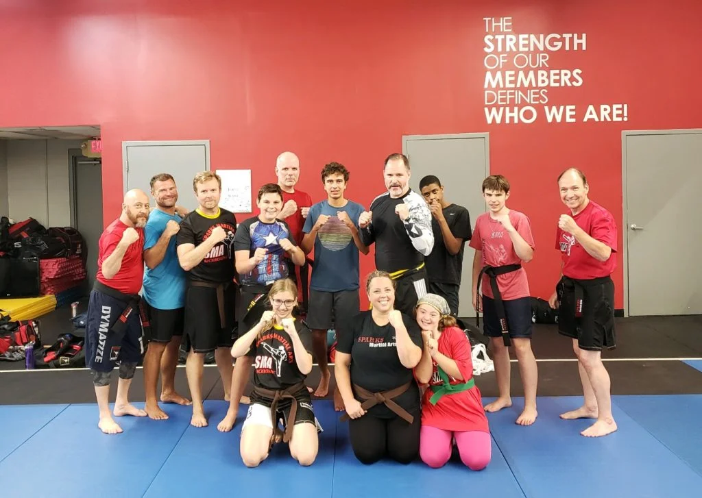 Ballantyne Martial Arts academy photo