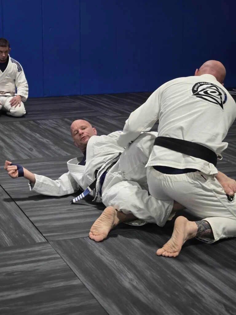 Blue Ridge Jiu Jitsu visual