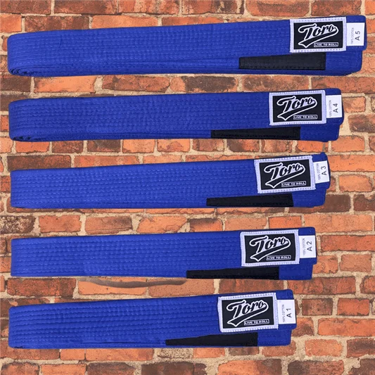 Cageside & Toro BJJ Fight Shop academy photo