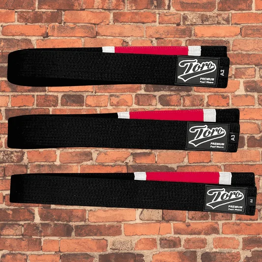 Cageside & Toro BJJ Fight Shop academy photo