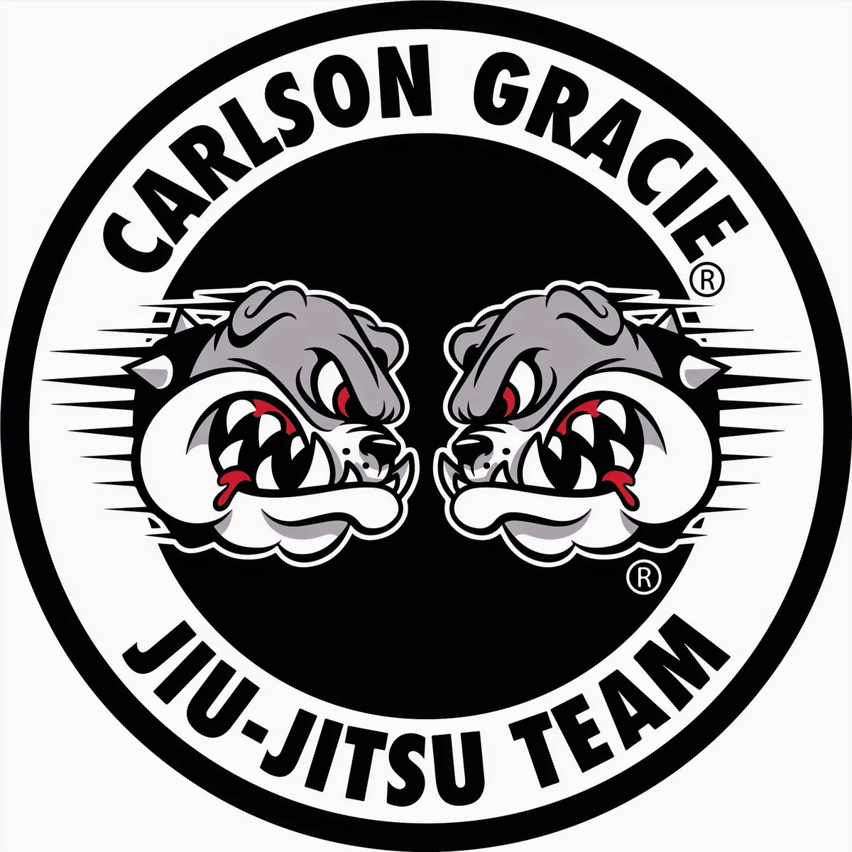 Carlson Gracie Nash County academy photo