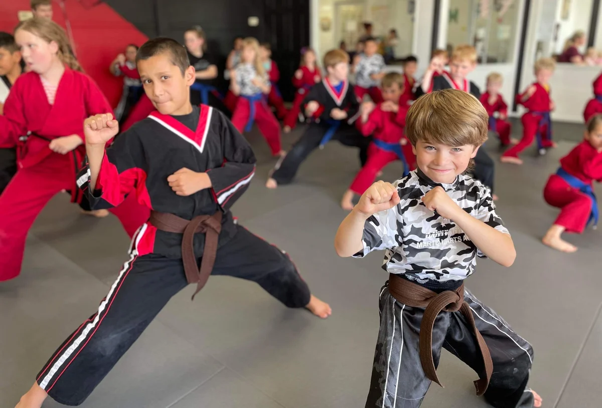 Danny Antoine's Martial Arts Academy visual