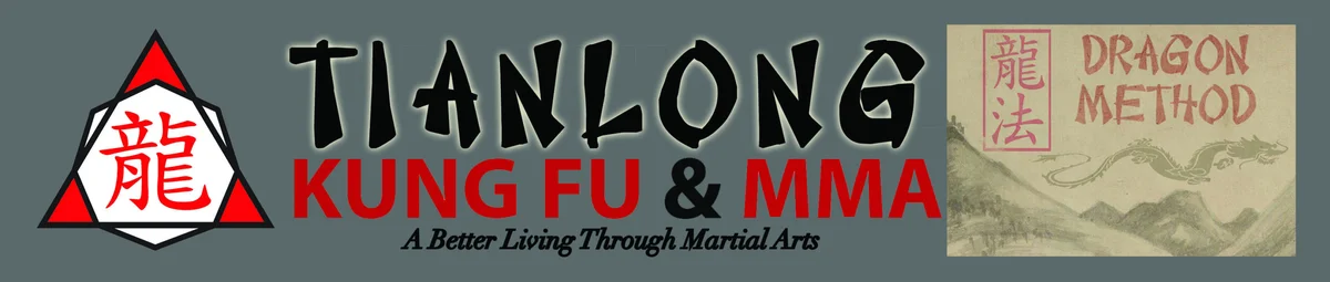 Dragon Method / tkfmma academy logo