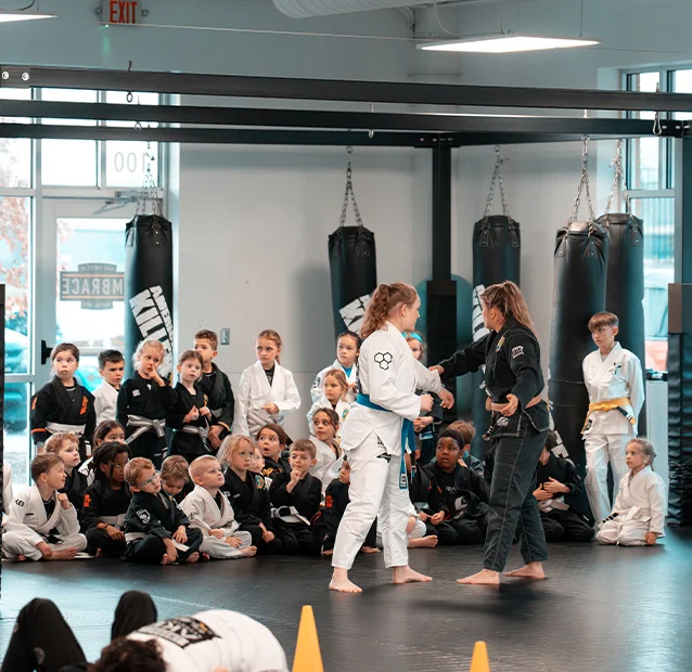 Embrace Martial Arts academy logo