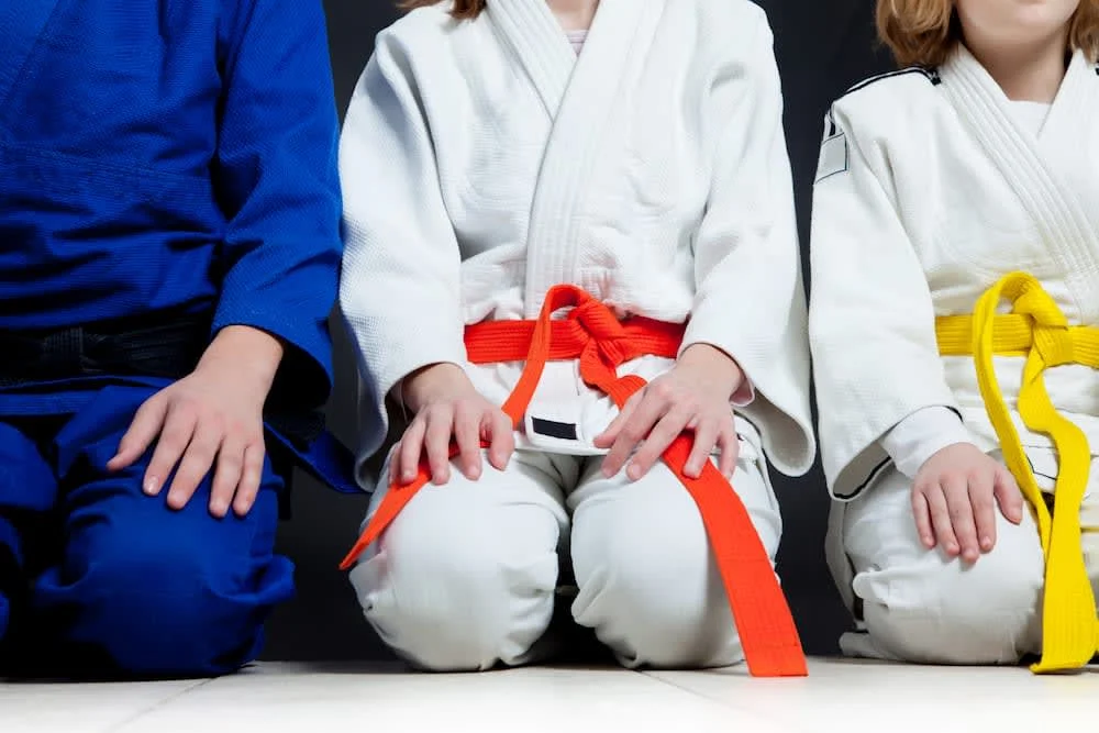 Martial Arts & More Wilmington academy photo