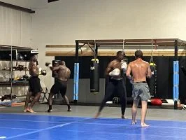 Moreno BJJ academy photo