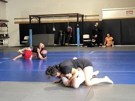 Moreno BJJ academy photo