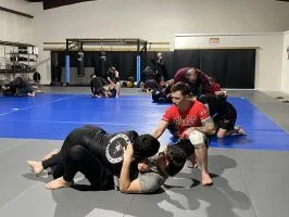 Moreno BJJ visual