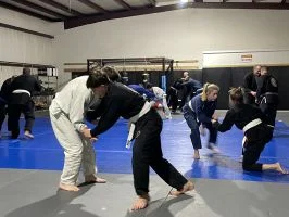 Moreno BJJ academy photo