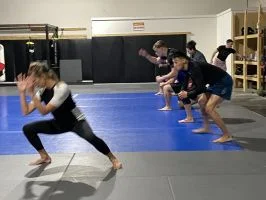 Moreno BJJ academy photo