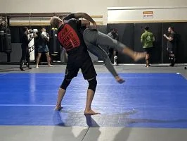 Moreno BJJ academy photo