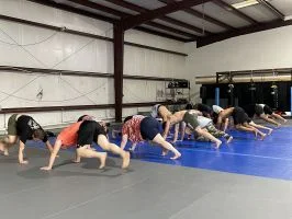Moreno BJJ academy photo